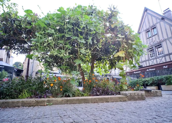 Le Perroquet Fringant, Rue Pietonne Et Quartier Historique